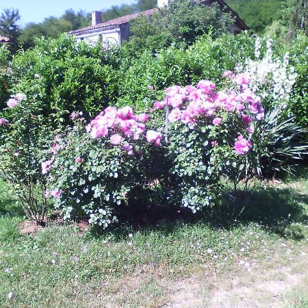 L'Ancien Patronage Guest House Caumont-sur-Garonne Luaran gambar
