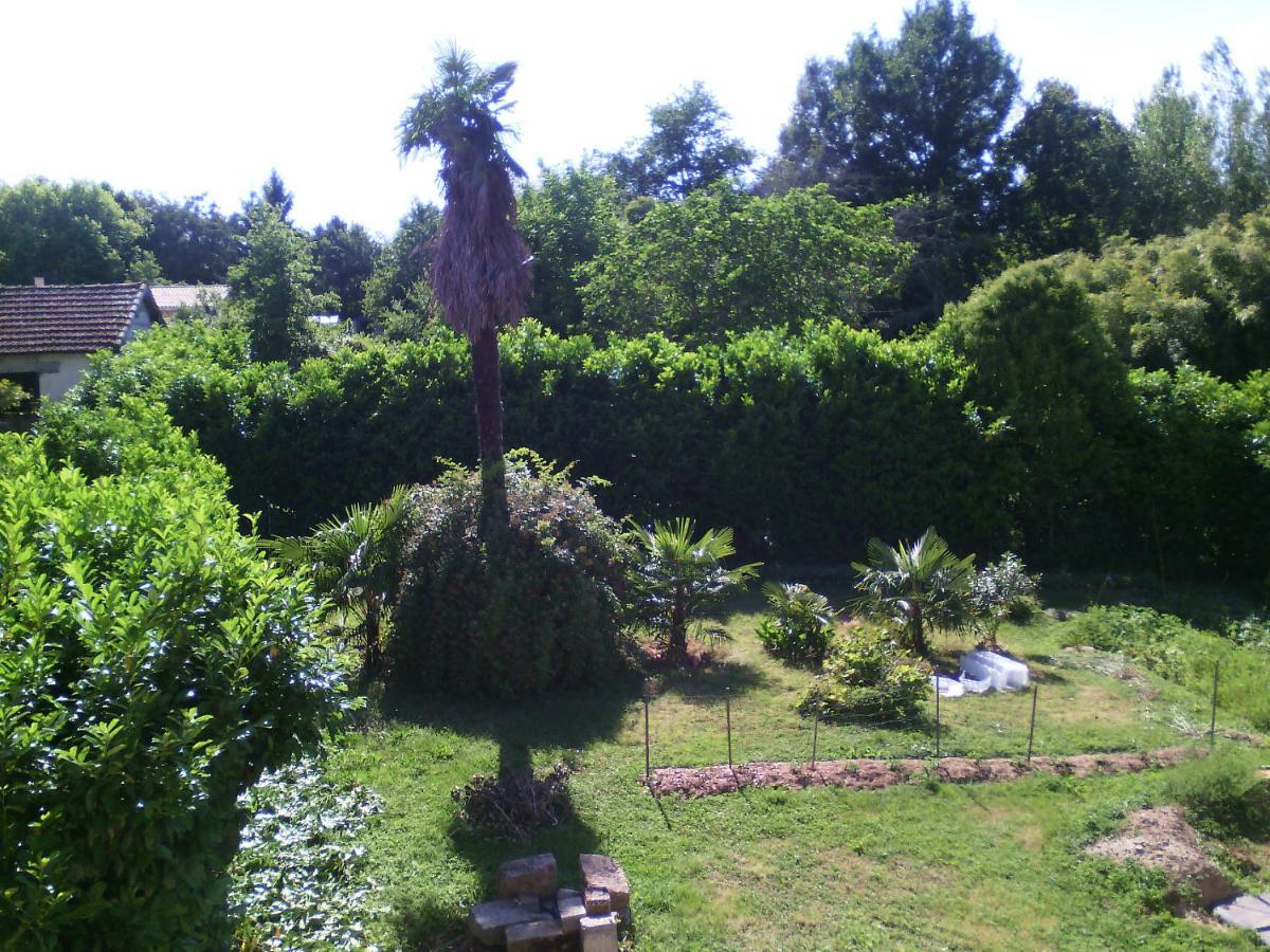 L'Ancien Patronage Guest House Caumont-sur-Garonne Luaran gambar