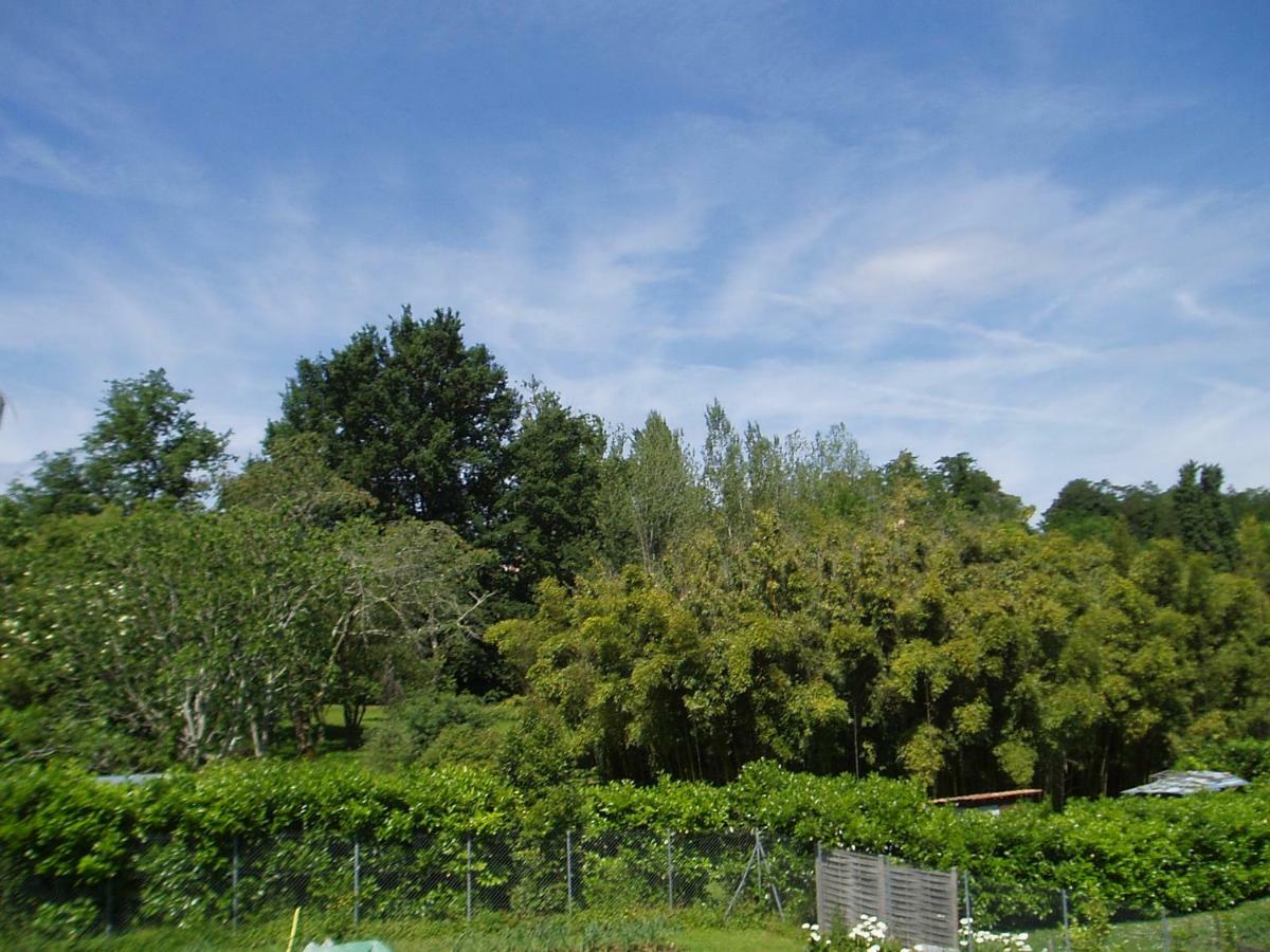 L'Ancien Patronage Guest House Caumont-sur-Garonne Luaran gambar