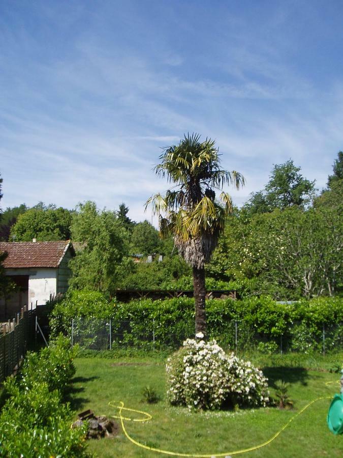 L'Ancien Patronage Guest House Caumont-sur-Garonne Luaran gambar